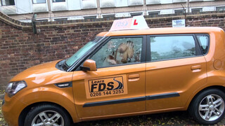 Fake Driving School - Cindy Shine inkább kúrel a vezetés helyett