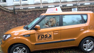 Fake Driving School cuki japán picsa kúrni akar